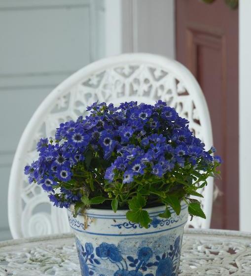 צימר The Saddlery