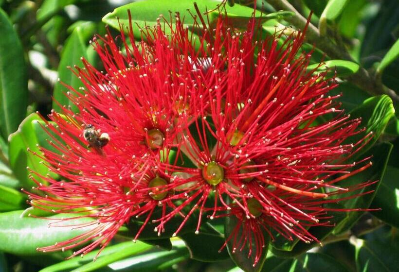 צימר Twin Waters Lodge