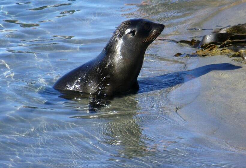 צימר Twin Waters Lodge