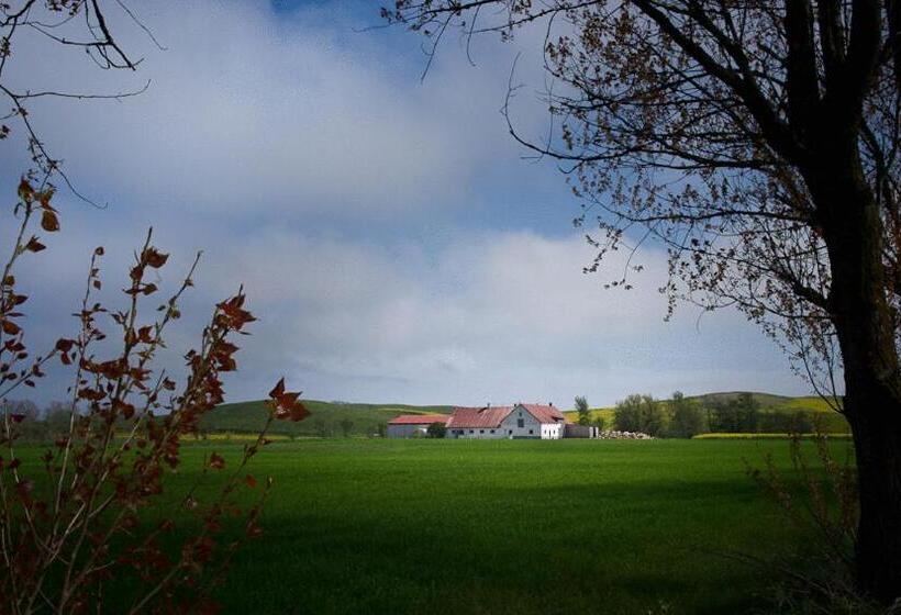 Bed & Breakfast Vinkille