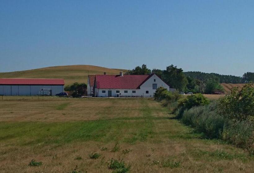 Bed & Breakfast Vinkille