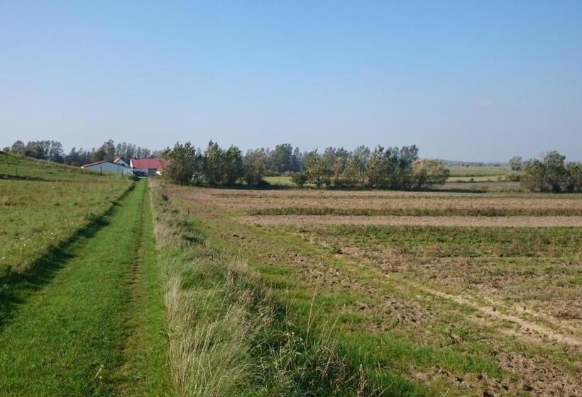 Bed & Breakfast Vinkille