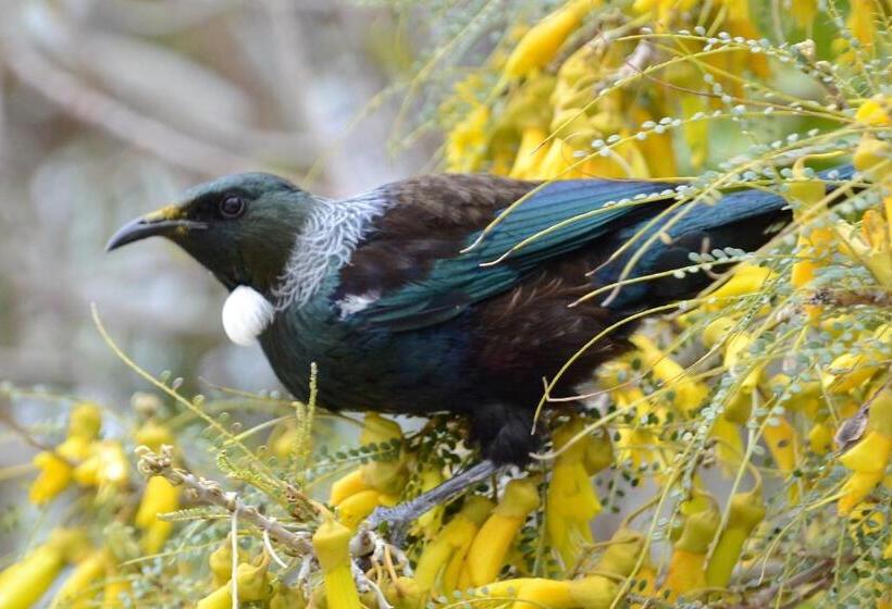 Collingwood Park Motel