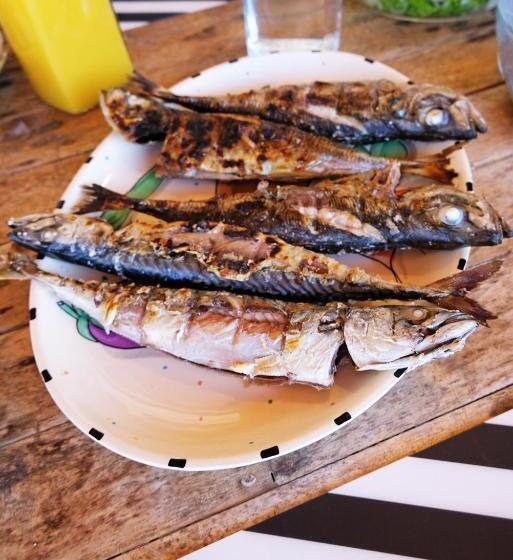 Freesurfcamp & Hostel