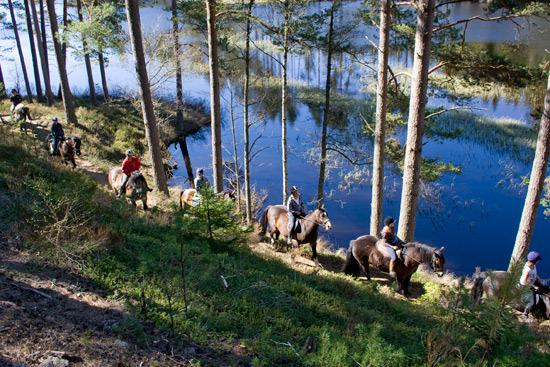Tivedens Hostel Vandrarhem