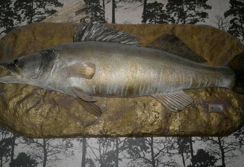 Hällefors Vandrarhem Hostel & Kanotcenter