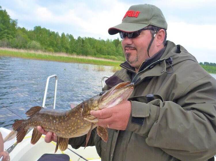 בית מלון כפרי Brovillan