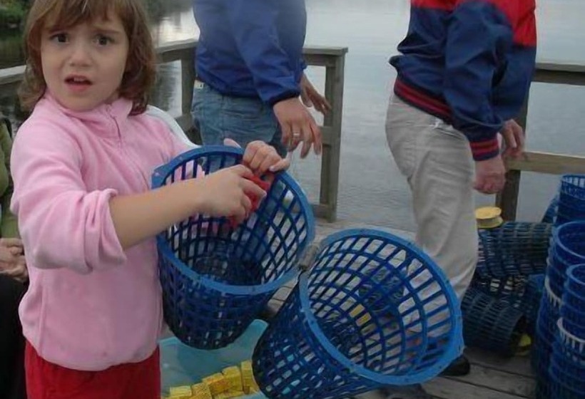 בית מלון כפרי Brovillan