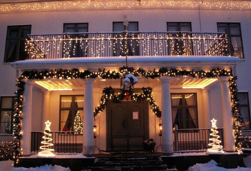 酒店 Hellefors Herrgård