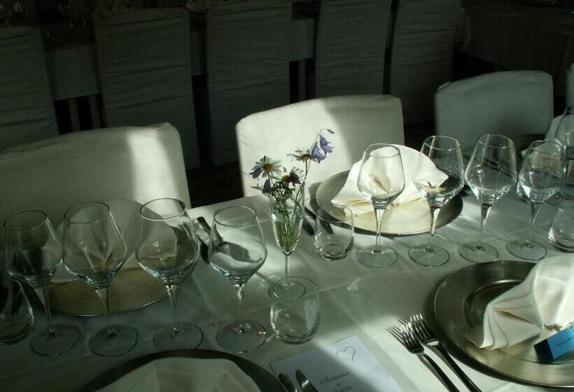 酒店 Hellefors Herrgård