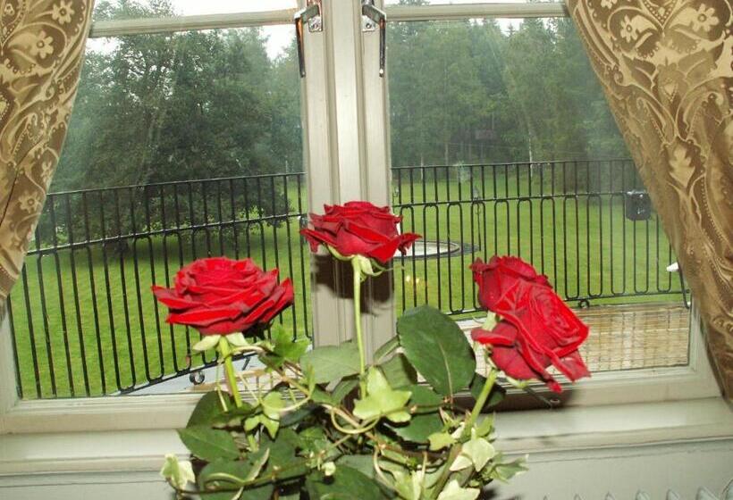 酒店 Hellefors Herrgård