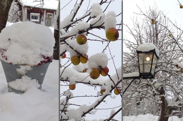 Johanssons Gårdshotell I Roslagen