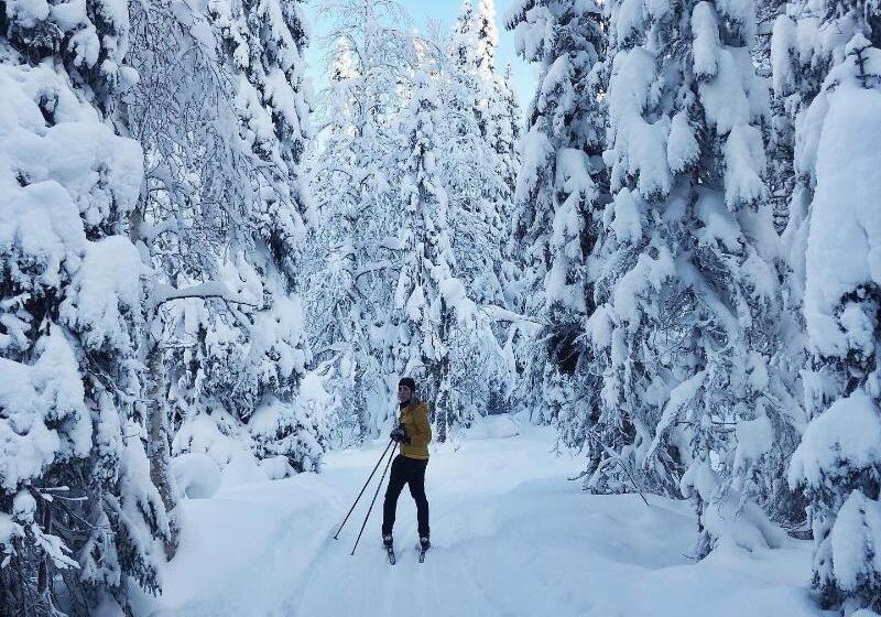 호텔 L åre Fjällsätra