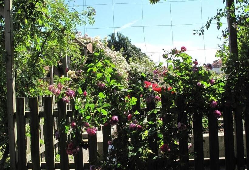 בית מלון כפרי L Turistgården I Simrishamn