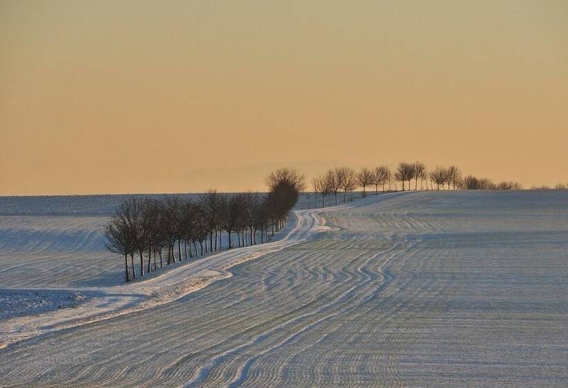 בית מלון כפרי L Turistgården I Simrishamn