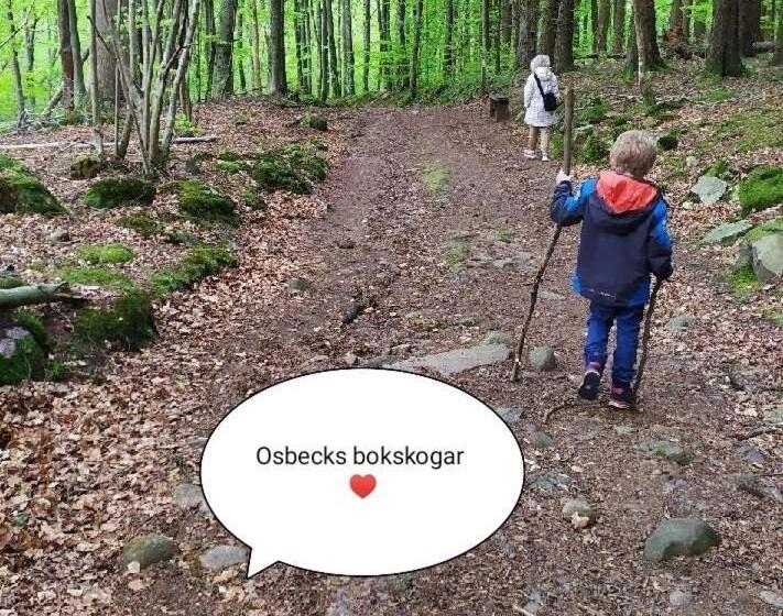 בית מלון כפרי Laholms Vandrarhem