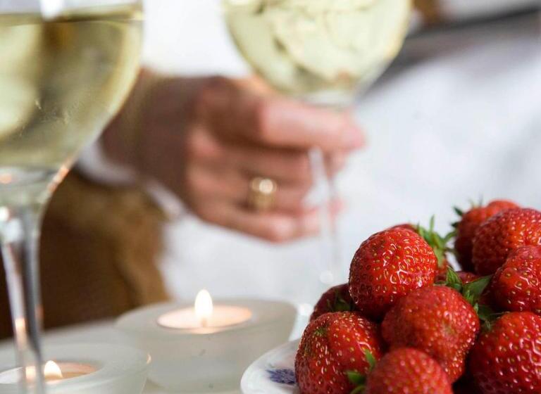 בית מלון כפרי Skeviks Gård