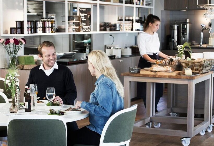 בית מלון כפרי Skeviks Gård