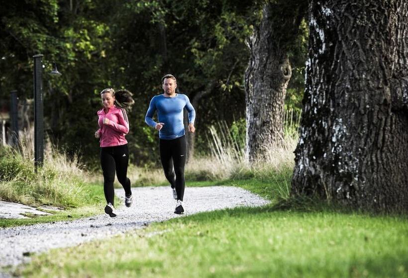 בית מלון כפרי Skeviks Gård