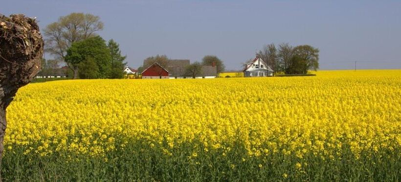 Отель Sydkustens At Lillehem