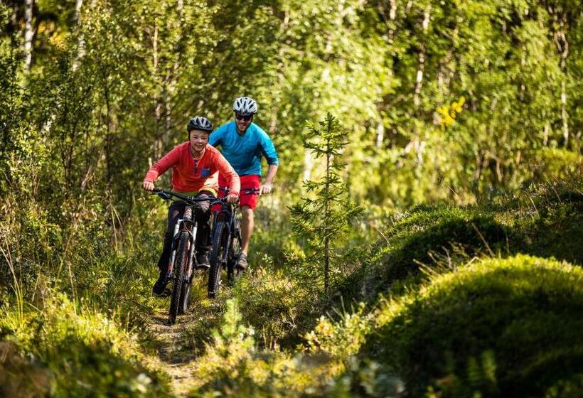 בית מלון כפרי Vålådalens Fjällstation