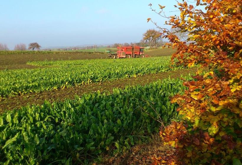 Hylteberga Gård Bed & Breakfast