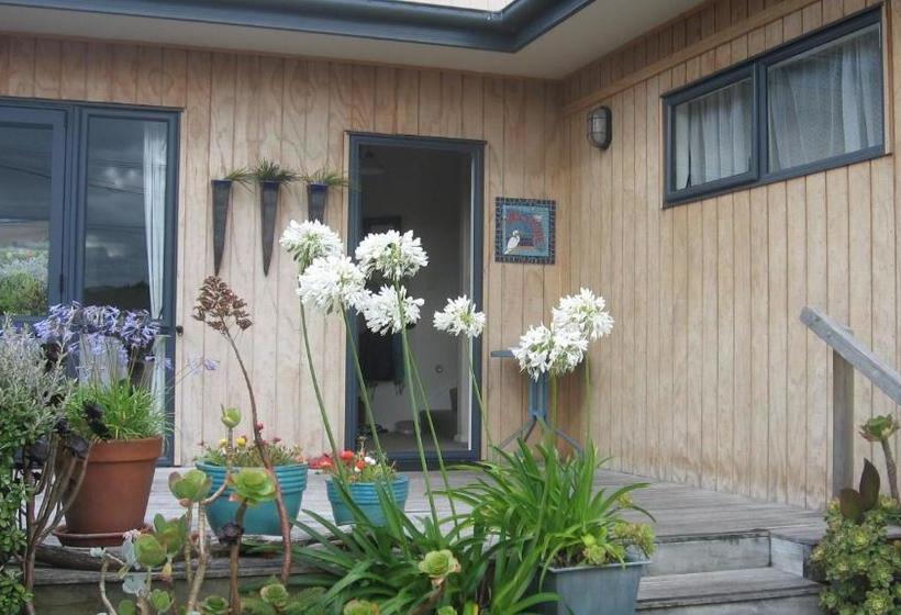 Kotuku Bed & Breakfast