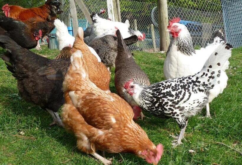 L'abri Bed And Breakfast