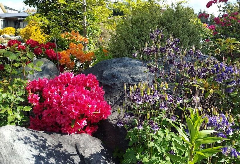 Marie Therese Bed & Breakfast