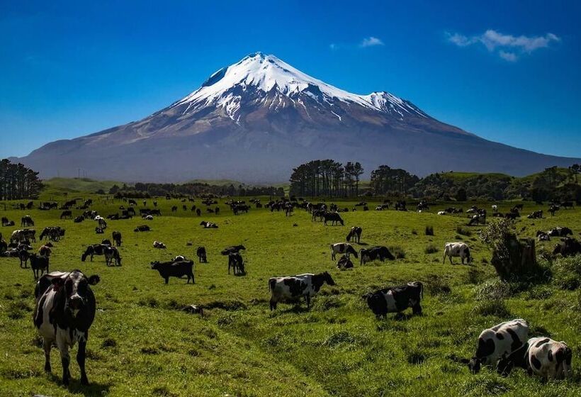 מוטל 299 On Devon West