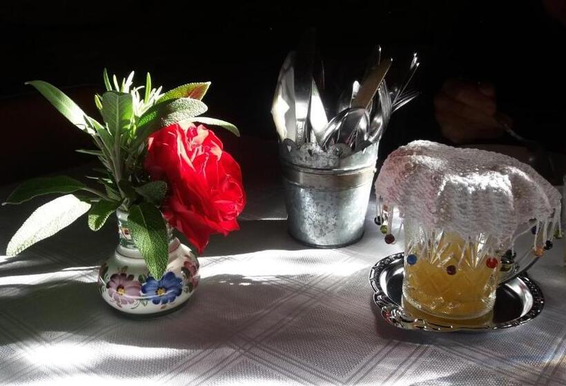 모텔 Clyde Central