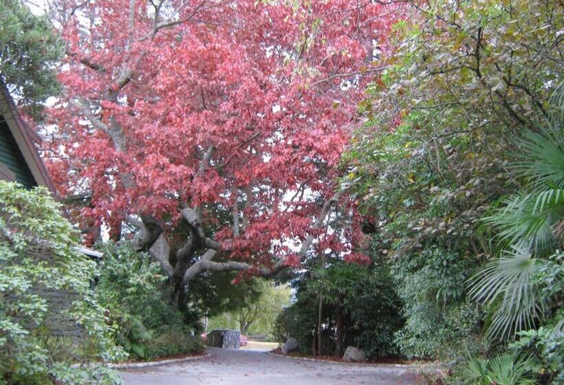 מוטל Creel Lodge