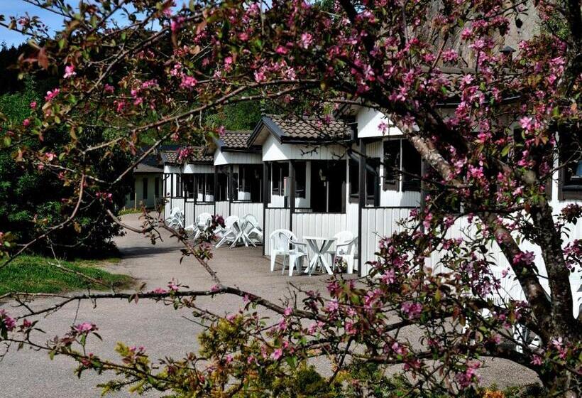 Мотель Rasta Håby