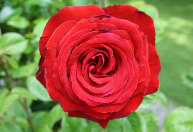 모텔 Shades Of Arrowtown