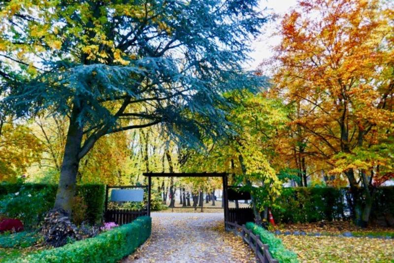 모텔 Shades Of Arrowtown