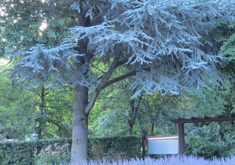 모텔 Shades Of Arrowtown