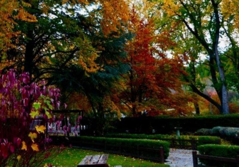 모텔 Shades Of Arrowtown