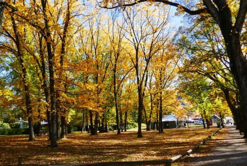 모텔 Shades Of Arrowtown