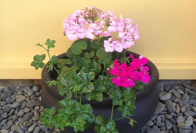 Mount View Motel Hawera