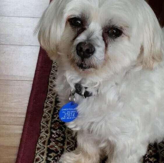 Olive House Bed And Breakfast