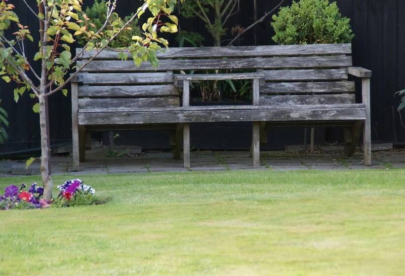 Olive House Bed And Breakfast