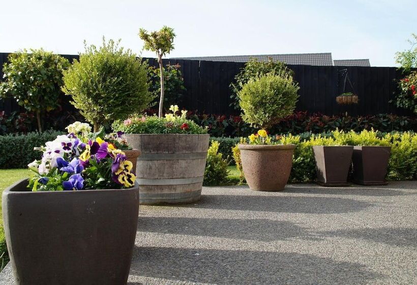 Olive House Bed And Breakfast