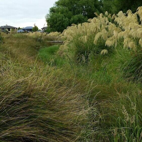 Olive House Bed And Breakfast