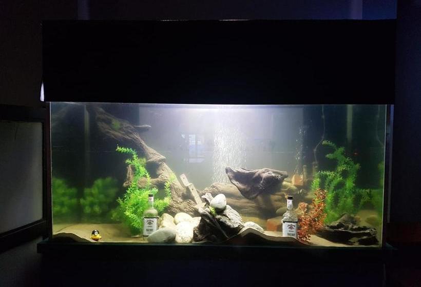 Railway Hotel Greymouth