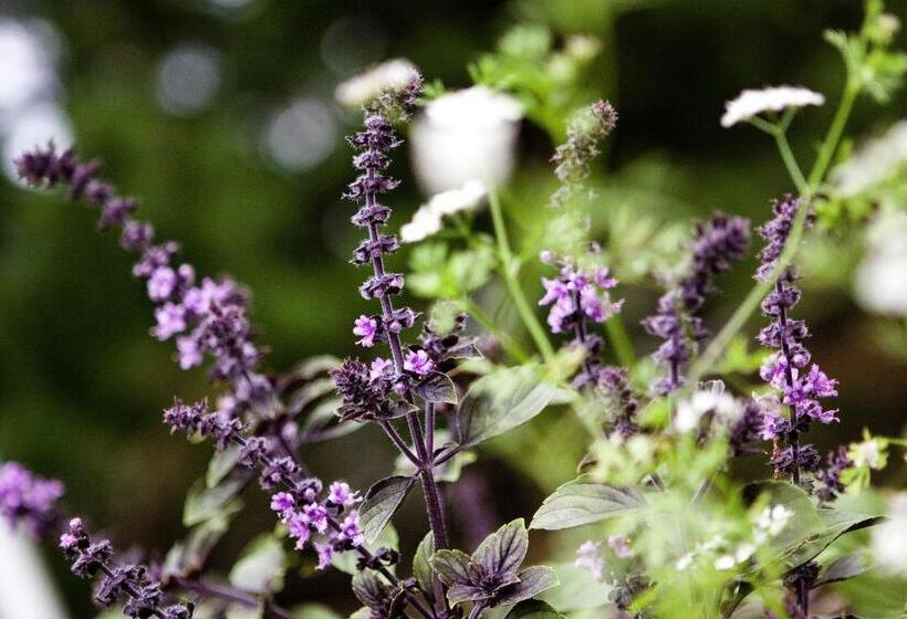 منتجع L Gyllene Hornet