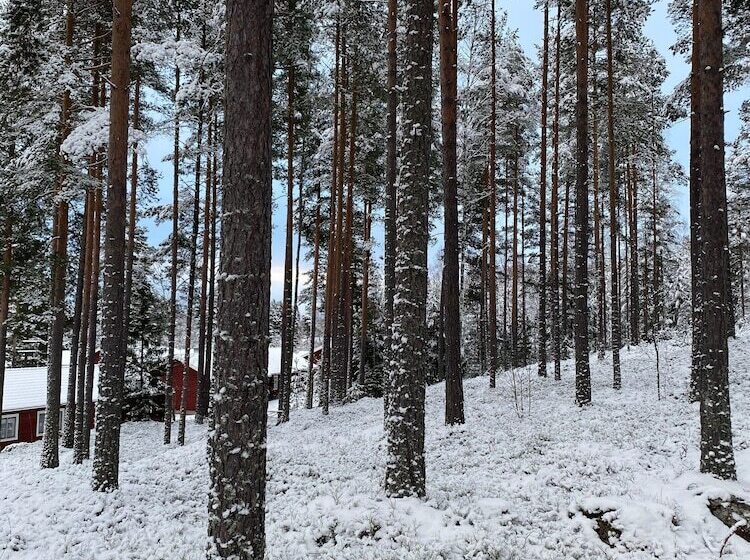 Курорт L Moskogen