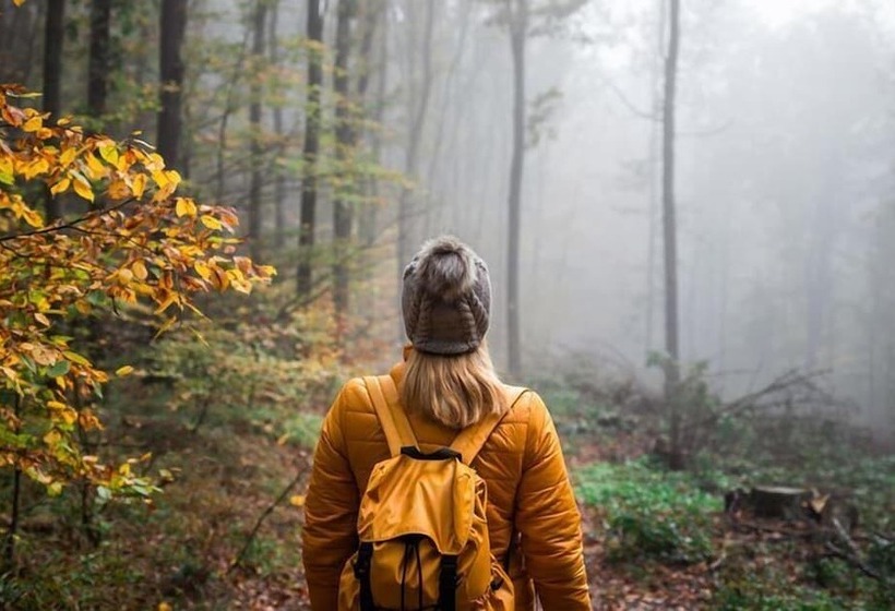 Курорт L Moskogen