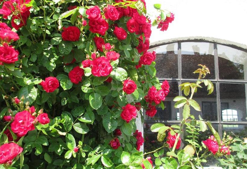 Rävåkra Bed & Breakfast