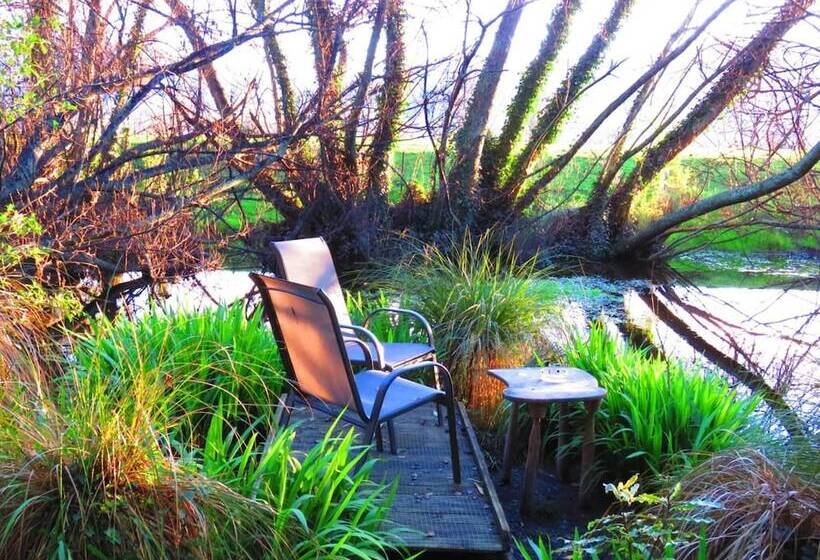 Shady Rest Bed & Breakfast