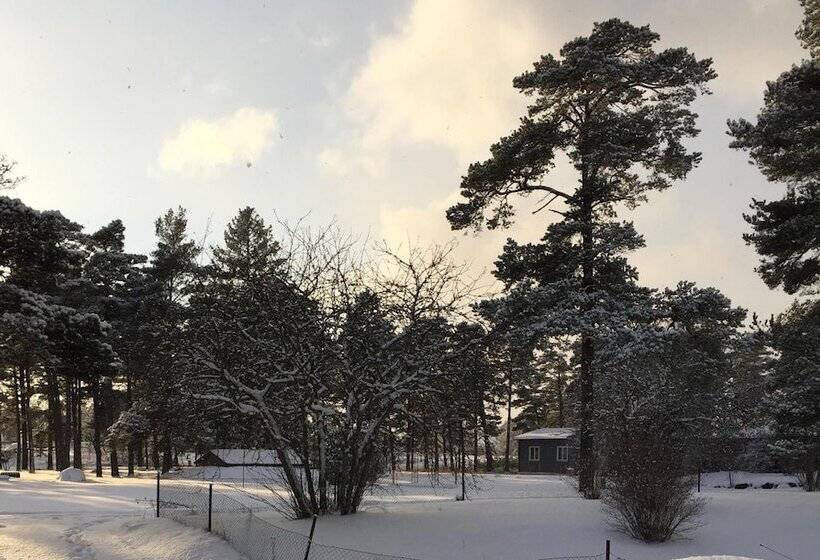 Stf Hostel Lärbro/grannen